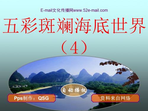 五彩斑斓，海底世界（4）