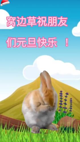 祝朋友们元旦快乐