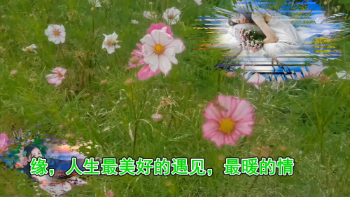 ]缘，人生最美好的遇见，最暖的情