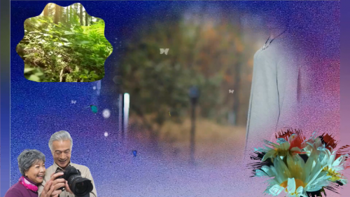 生命是一场相逢与懂得