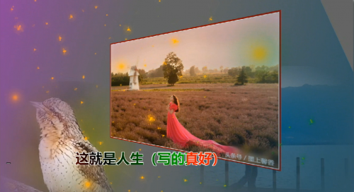 这就是人生（写的真好）