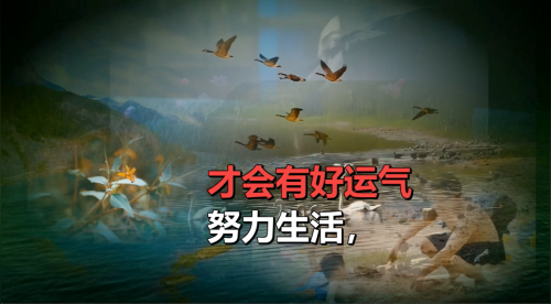 同步朗读努力生活，才会有好运气