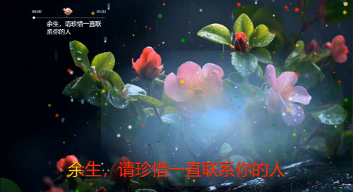 余生，请珍惜一直联系你的人