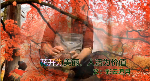 花开为美丽，人活为价值