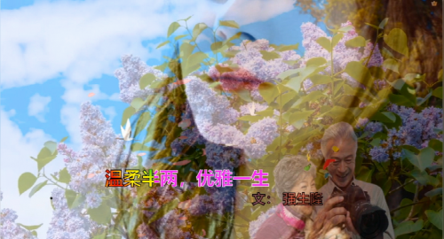 温柔半两，优雅一生
