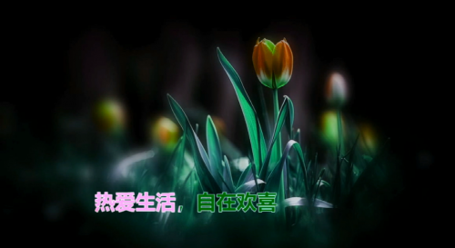 热爱生活，自在欢喜