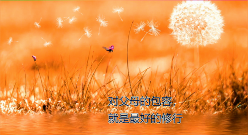 对父母的包容，就是最好的修行