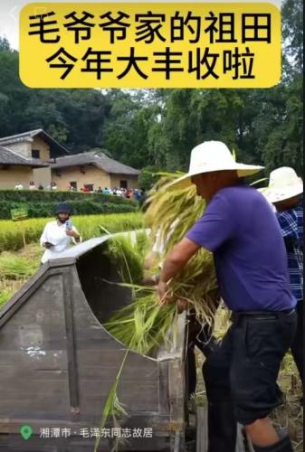 希望的田野