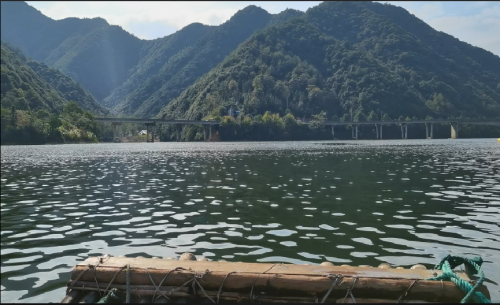 《富春桃源 》景区 乘电动竹筏