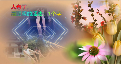 人老了，最聪明的活法：1个字