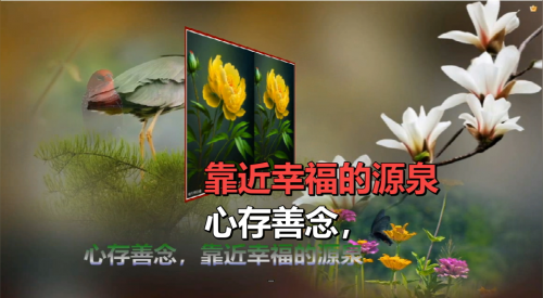 心存善念，靠近幸福的源泉