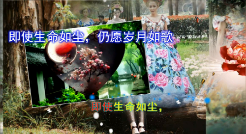 即使生命如尘，仍愿岁月如歌