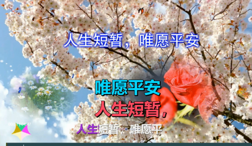 人生短暂，唯愿平安
