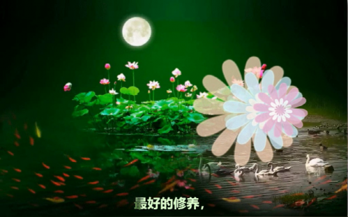 最好的修养，就是修品，修心，修身