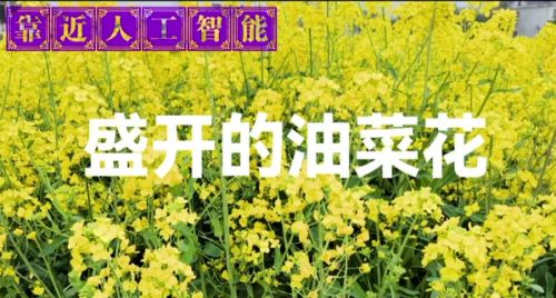 《试用人工智能》——赵新