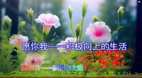 愿你我——积极向上的生活，热气腾腾的活着