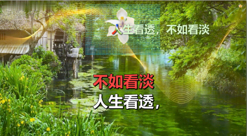 人生看透，不如看淡