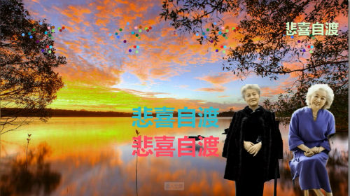 悲喜自渡