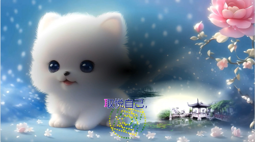 取悦自己，是对生命最好的敬畏