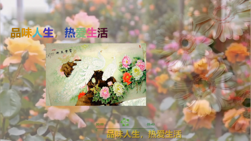品味人生，热爱生活
