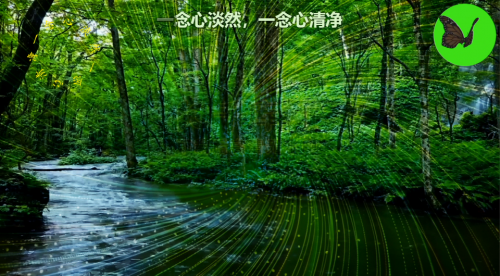 一念心淡然，一念心清净