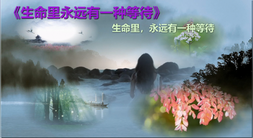 生命里，永远有一种等待