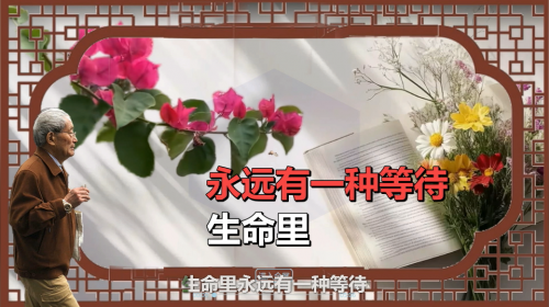 生命里永远有一种等待