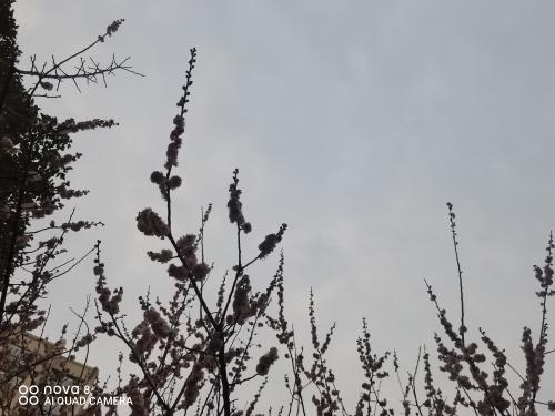 20190401谈裕华农中四调整-1
