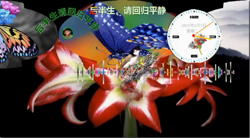 后半生，请回归平静