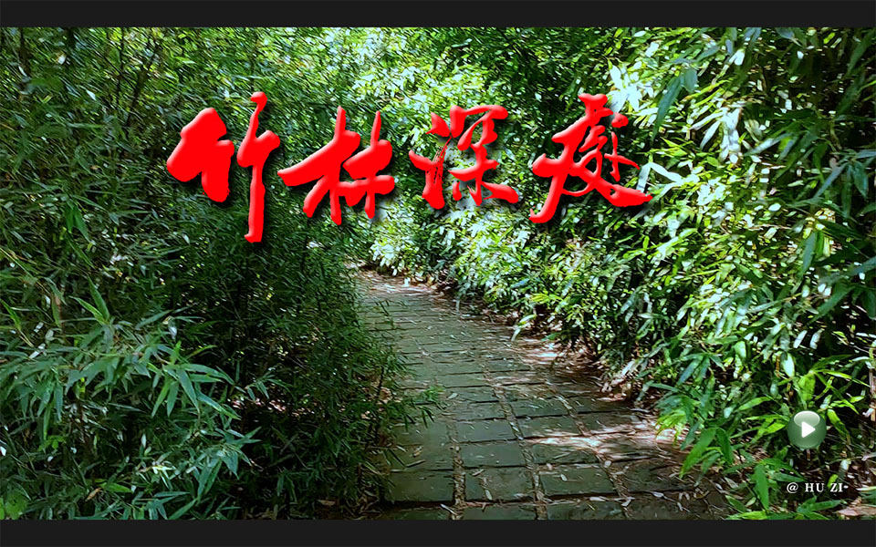  【竹林深处】 葫芦丝演奏：冯 玉