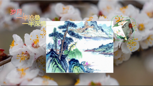 岁月一半沧桑一半深情