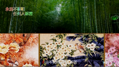 永远不要和任何人诉苦