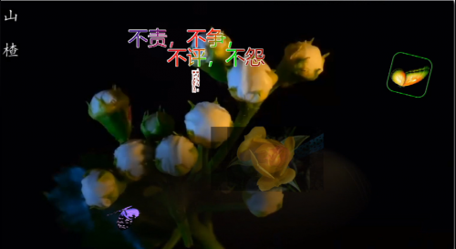 不责，不争，不评，不怨