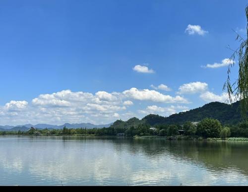 20250820上午dafeng友义医院筋伤科1