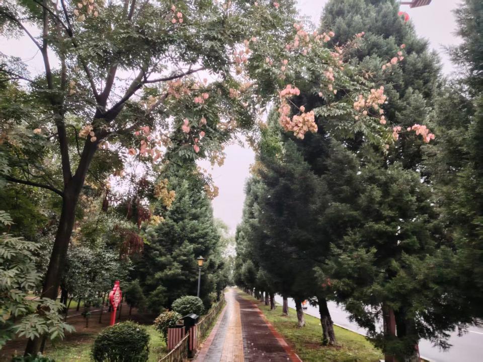 雨后i的周原广场，一切景致都是...