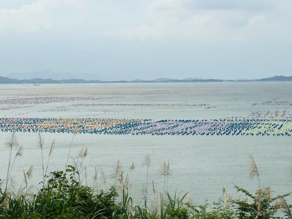 南澳岛“彩虹海”的奥秘（潮汕游...