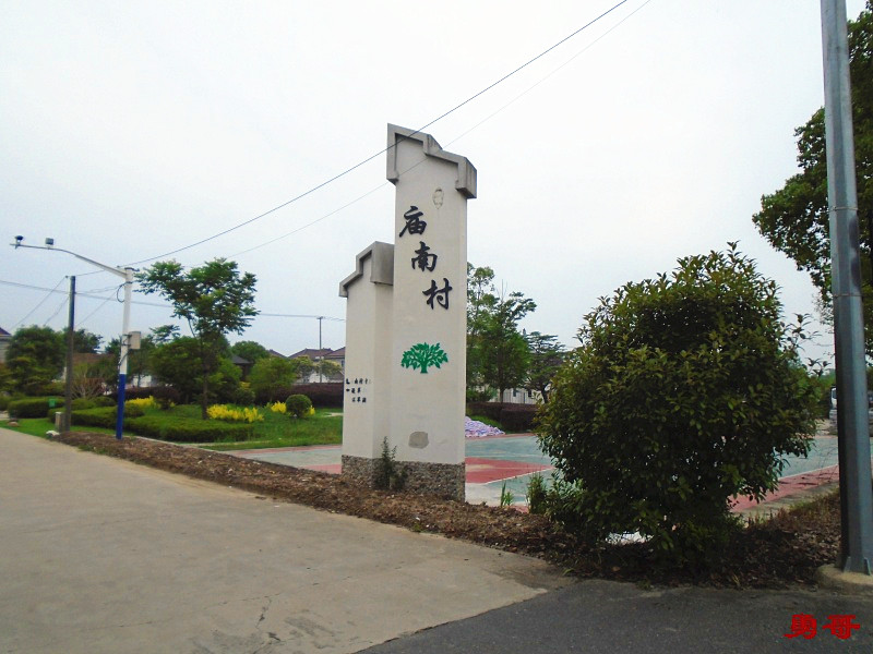 游遍上海公园-崇明区-庙南村凝...