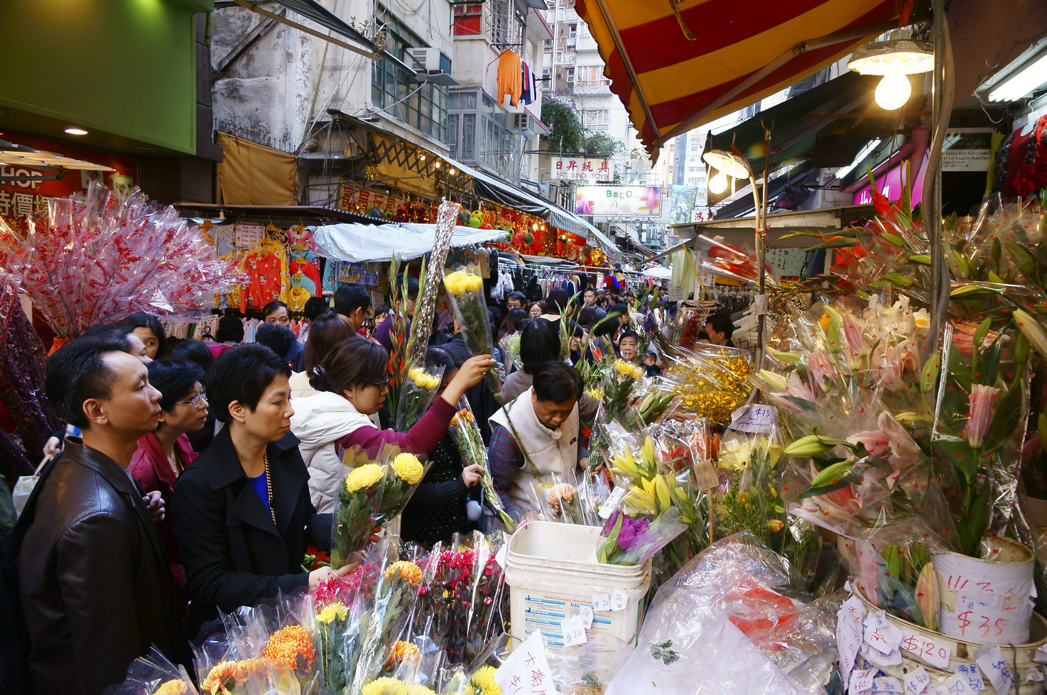 香港印象之年宵花市