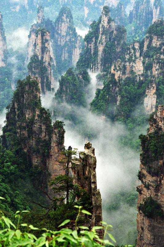 金线吊葫芦张家界图片